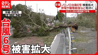 【ノロノロ台風6号】人も物も“停滞”で影響拡大  都内の店「材料が届かない」