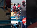 വിഴിഞ്ഞം നെത്തോലി തെറിക്കുന്ന നത്തോലി fishing tvm beachfishing fishingfreakz fishingmethods