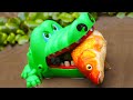 Stop Motion - Crocodiles And Koi Fish Hunt Mud Eels | Survival Colorful Koi Fish | Primitive Cooking