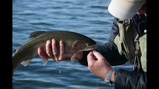 Grafham Water's fabulous Bank Fly Fishing - November 2019