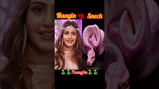 Naagin 6🐍|| Naagin Vs Sneck ||🥰😘 #Naagin6 #Naagin7 #naagin4 #naagin3 #trending #viralshorts #shorts