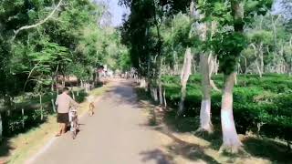 মাধবপুর  লেক যাওয়া  সময়।Narsingdi#videos #viralvideo #viral #travel #bangladesh