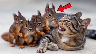 Tiny Squirrels Lost Their Mother Grow Up With A Cat - Now They Become Inseparable.