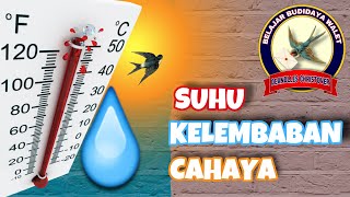 Suhu, Kelembaban, Dan Cahaya Pada Budidaya Burung Walet | Temperature, Humidity, and Light Swiftlet