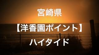 2017年サーフトリップin宮崎【洋香園ポイント】