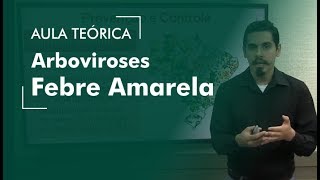 Febre Amarela Arboviroses - AULA TEÓRICA  |  Concursos Veterinários