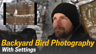 Ultimate Guide to Backyard Bird Photography | Blind Setup, Camera Settings and Autofocus | Nikon Z9