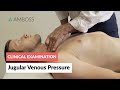 Examination of the Jugular Venous Pressure - Clinical Examination