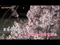 情海這條路｜張雪芳｜導唱字幕