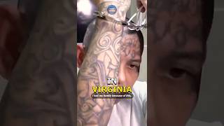 Major MS-13 Leader Arrested in Virginia