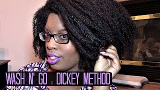 Natural Hair | Wash n' Go using : The Dickey Method