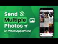 📤 How to Send Multiple Photos on WhatsApp in iPhone | 📱 Share Multiple Pictures Easily
