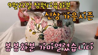 2024년 9월 22일 가을 신상봄봄화분 가마 열렸습니다#정원다육화분 #정원다육 #다육화분#봄봄화분#수제공방분 #화분예쁜집