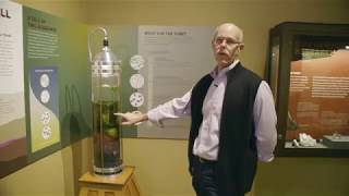 Origins 2.3 Microbial Evolution