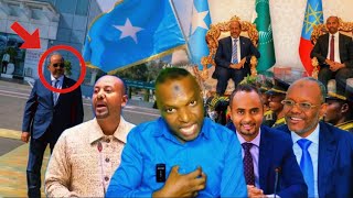 safarka adis ababa ee xasan shekh laftagareen o lagu badalayo jaamac xogo villa somaliya