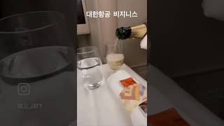 해외 여행  ✈️ 대한항공 비지니스와 아시아나 비지니스 무슨차이?