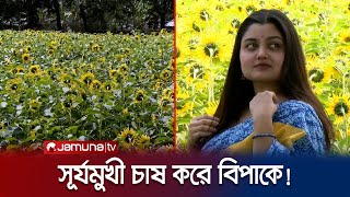 টিকটকারদের জ্বালায় সূর্যমুখী চাষ করে বিপাকে দুই কিশোর! | Mymensingh Sunflower | Jamuna TV