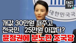 개값 30만원 퍼주고 전국민 25만원 아깝다?...윤정권에 분노한 조국당