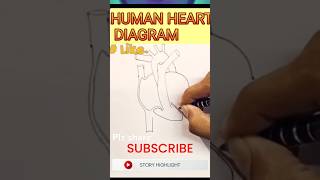 मानव हृदय का डायग्राम!!human heart diagram