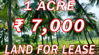 1 ACRE COCONUT GARDEN FOR LEASE | FINANCIAL NEED PROPERTY | LEASE PURPOSE | COST ACRE ₹ 7,000 | BSWD