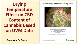 Drying Temperature Effect on CBD Content of Cannabis Based on UVM Data