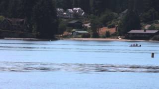 Orca whales in Poulsbo's Liberty Bay!