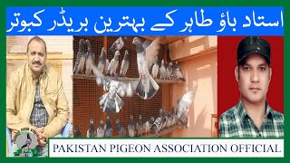 Ustad Bau Tahir Kay Ma Sha ALLAH Kamal Breeder Pigeons Watch In HD Urdu/Hindi