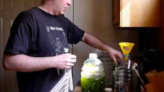 How to grow live marine phytoplankton