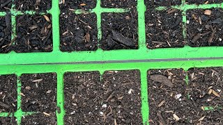 Autumn Jump Starter Video 2 - Compost