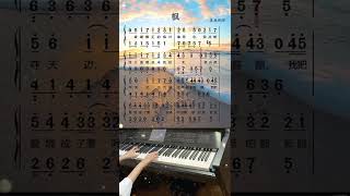 #枫   #钢琴  #热门歌曲  #流行音乐 #抖音小助手 第726课