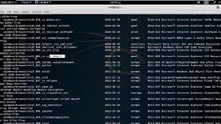 Exploiting Client Side Vulnerabilities and Establishing a VNC Session