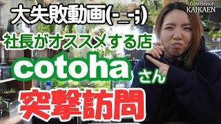 社長がオススメするお店　cotoha　京都　二条駅近く　突撃訪問　大失敗動画【おうちでガーデニング】開花園チャンネル