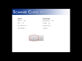 Scanner Class Part 4:  Oddity Numbers before Strings (Java)
