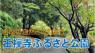 王禅寺ふるさと公園 | 川崎の丘陵地をあるく