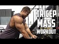 PURE Tricep Workout for MASS - Detailed Description