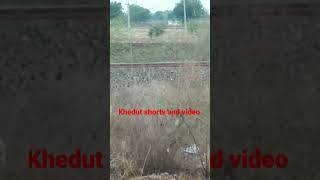 આ શું છે ખેડુત મિત્રો|| #viralvideo #viral #khedut #viralshort #farmer