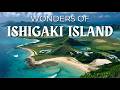 Wonders of Ishigaki Island | Japan's Hidden Gem | Travel Video 4K