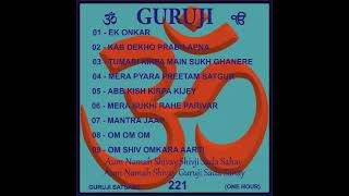 Guruji Satsang 221 1Hour