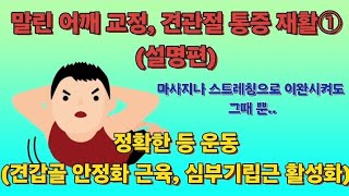 정획한 등운동 견갑골 안정화 근육, 심부기립근 활성화①설명편 (어깨가 말려서 뭉치거나 어깨 관절이 아파서 스트레칭을 하는데 그때뿐 다시 뭉치고 아프다면...)