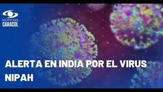 ¿Qué es el virus Nipah y cómo se transmite?