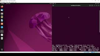 Linux Command Line Basics Tutorials - top command in Linux with Examples