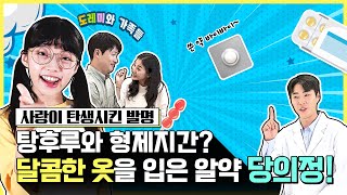 [도레미와 가족들] ep4. 탕후루와 형제지간? 달콤한 옷을 입은 알약 당의정!