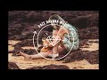 Post Malone Ft. 21 Savage - Rockstar (Dj Dark & MD Dj Remix)