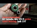 ganti bearing bak cvt Mio m3