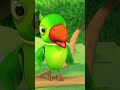 Main Tota Hindi Rhymes, मे तोता #shorts #youtubeshorts #hindipoem #talkingparrot #cartoon