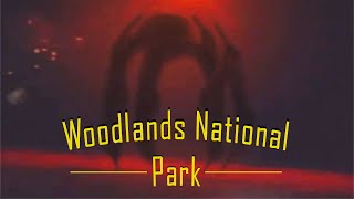 The Monsters in the Woods - Woodlands National Park Analog Horror