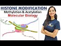 Histone Modification I Methylation I Acetylation Molecular Biology CSIRNET GATE IITJAM DBT ICMR ICAR