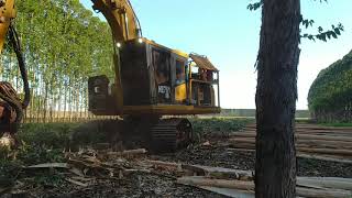 OLHA SÓ COMO QUE FICOU ESSA VISÃO!  | HARVESTER KOMATSU PC 200F C/ CABEÇOTE 370E