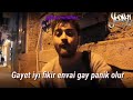 Şehinşah politik a acapella