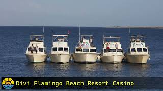 Divi Flamingo Beach Resort Casino #Kralendijk #hotel #holiday